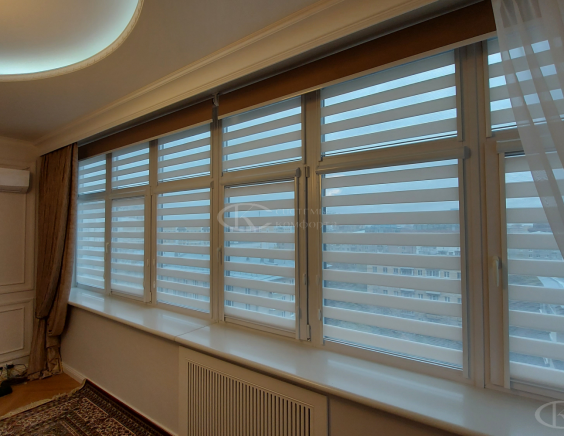 Жалюзи День-Ночь