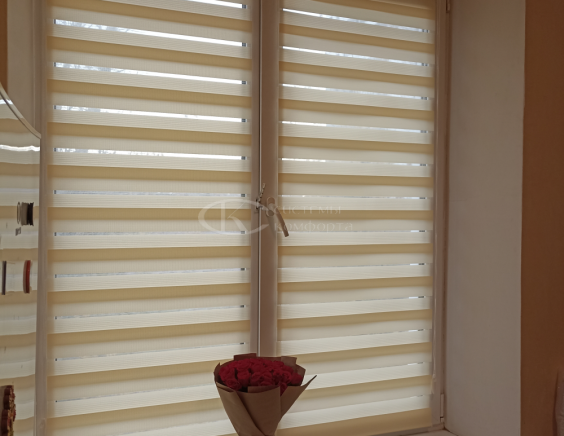 Жалюзи День-Ночь