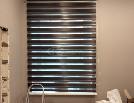 Жалюзи День-Ночь