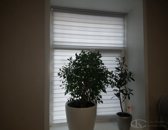 Жалюзи День-Ночь