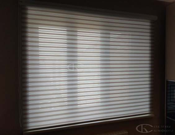 Жалюзи День-Ночь