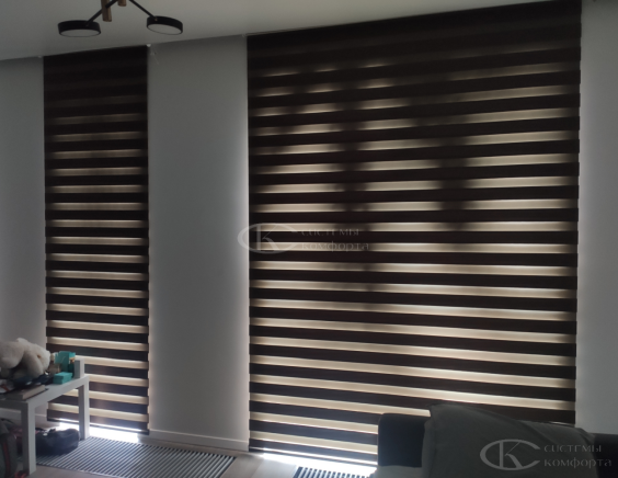 Жалюзи День-Ночь