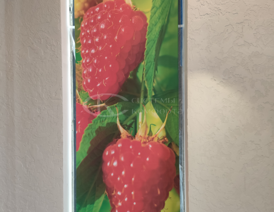 Портфолио свободновисящие рулонные шторы