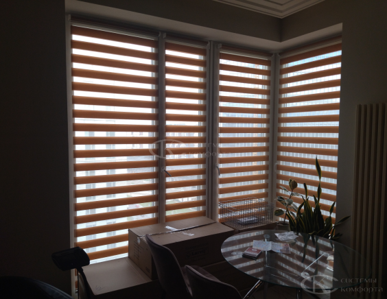 Жалюзи День-Ночь