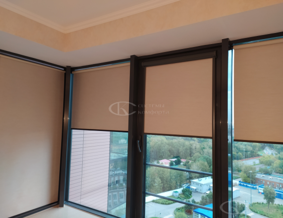 Портфолио свободновисящие рулонные шторы