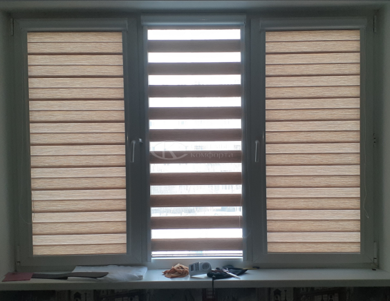 Жалюзи День-Ночь