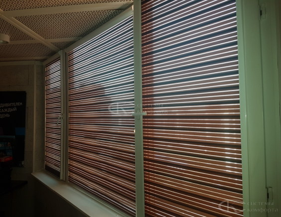 Жалюзи День-Ночь